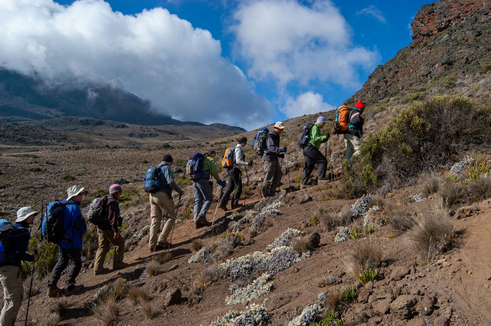 Trekkers ascending a volcanic-rock trail on Kilimanjaro