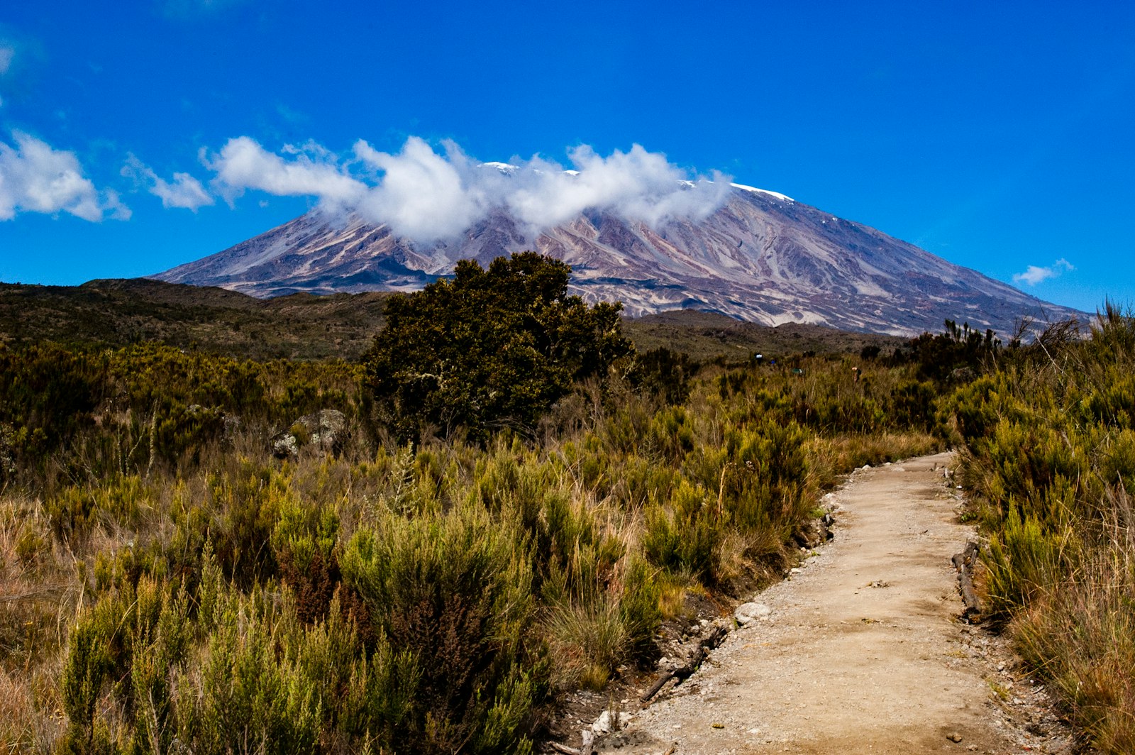 Alpine-desert trail toward the Kilimanjaro summit
