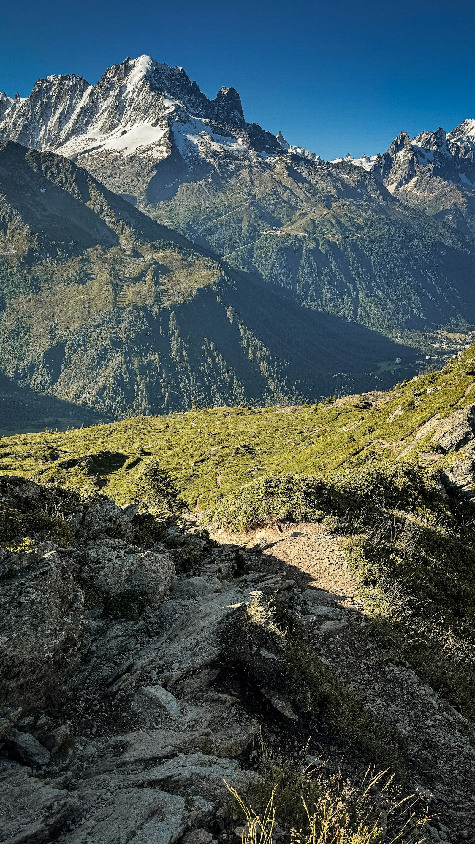 Hiking trail toward snow peaks above the Chamonix valley