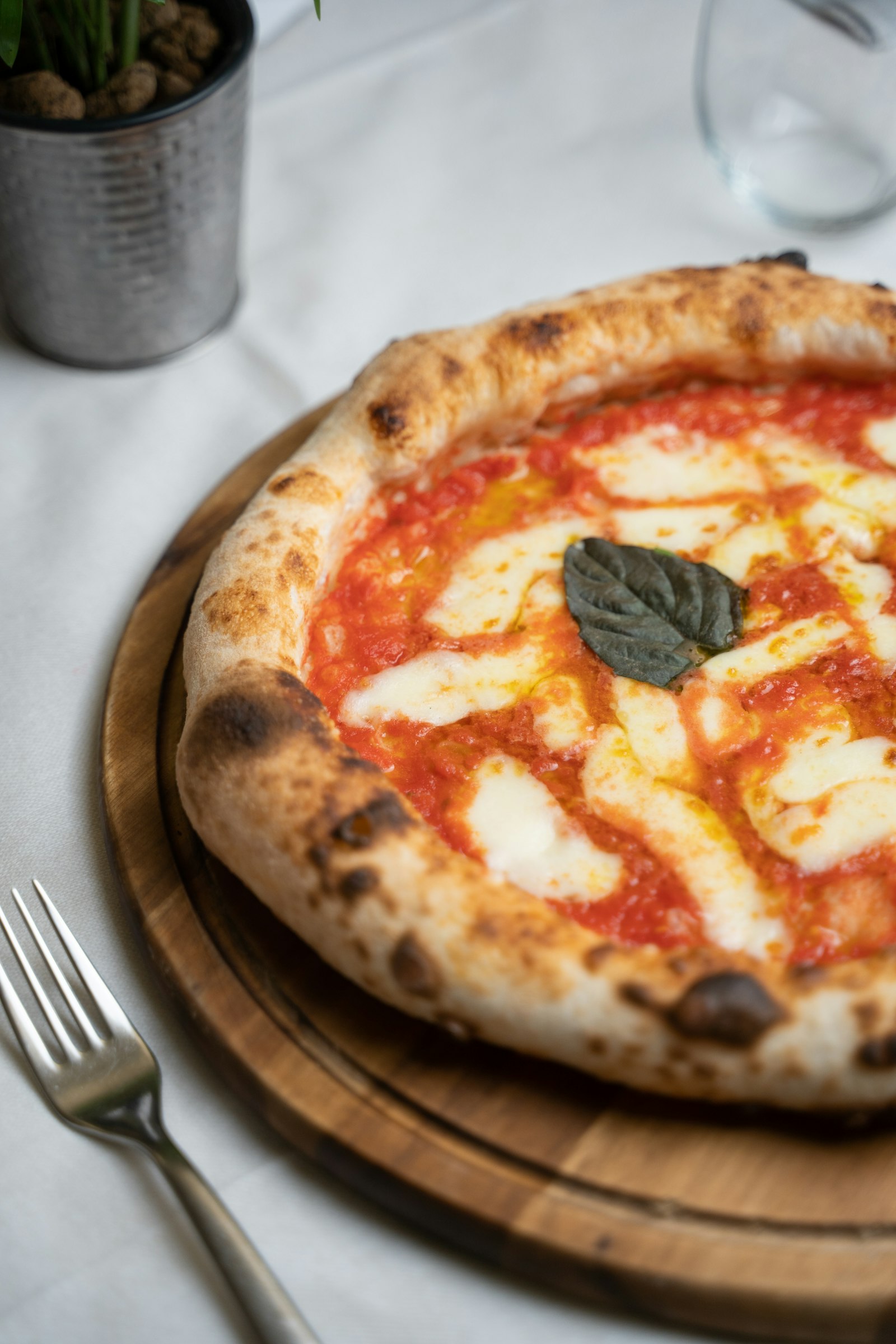 Wood-fired Neapolitan margherita pizza