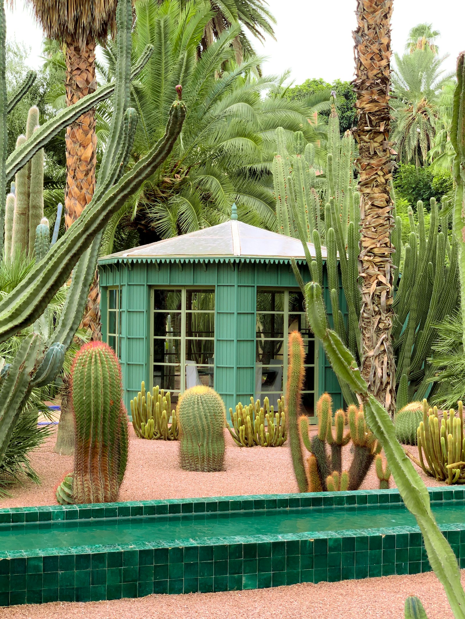 Garden pavilion among cacti and palms, Majorelle style, Marrakech
