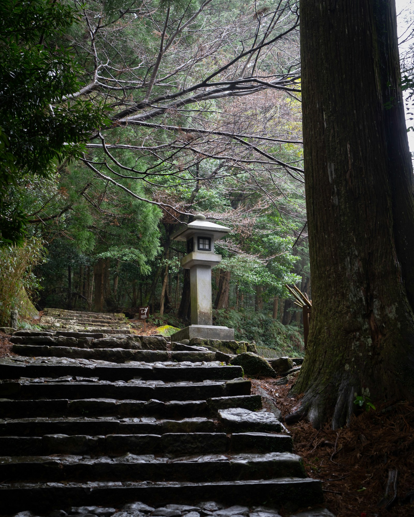Stone-step shrine path with a lantern, Kumano Kodo, Japan