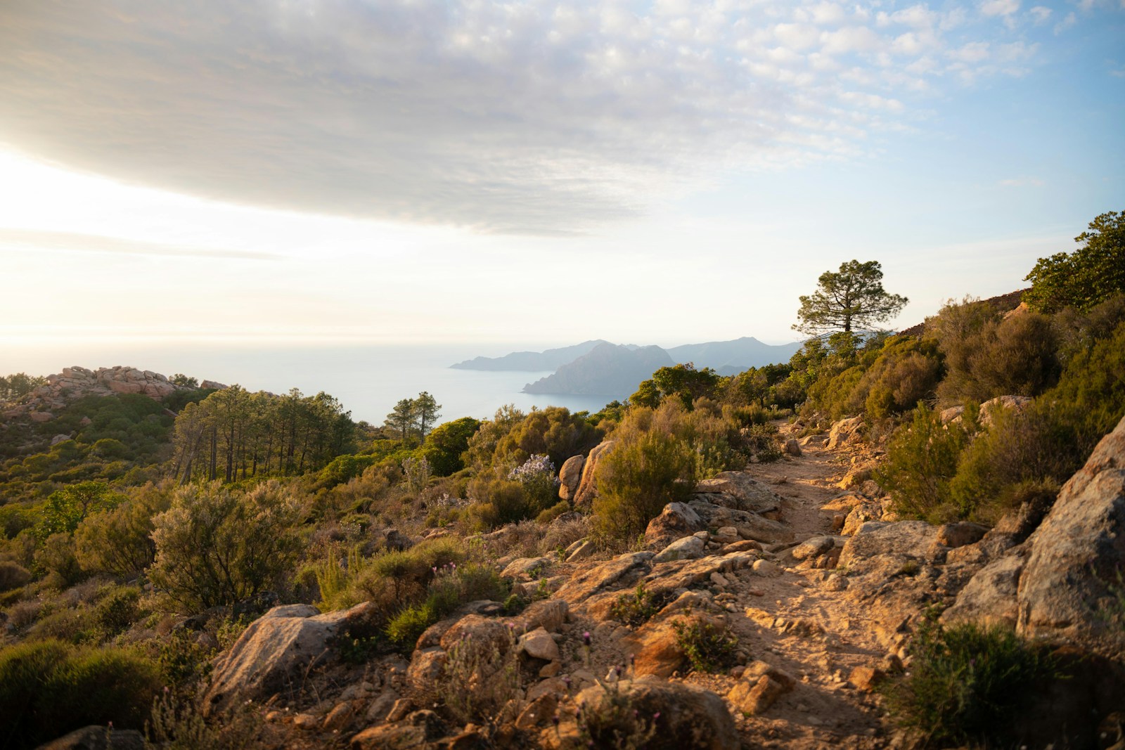 Coastal hiking path above a Corsican inlet