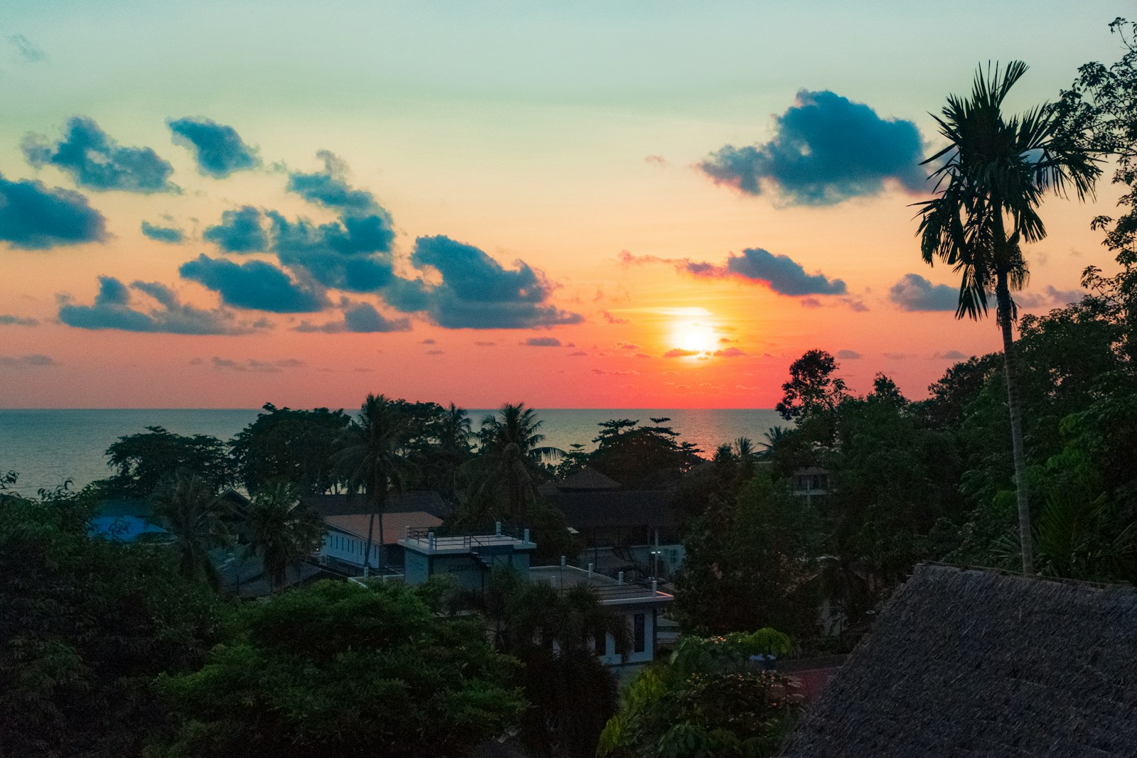 Palm silhouettes against a sea sunset, Koh Lanta, Thailand