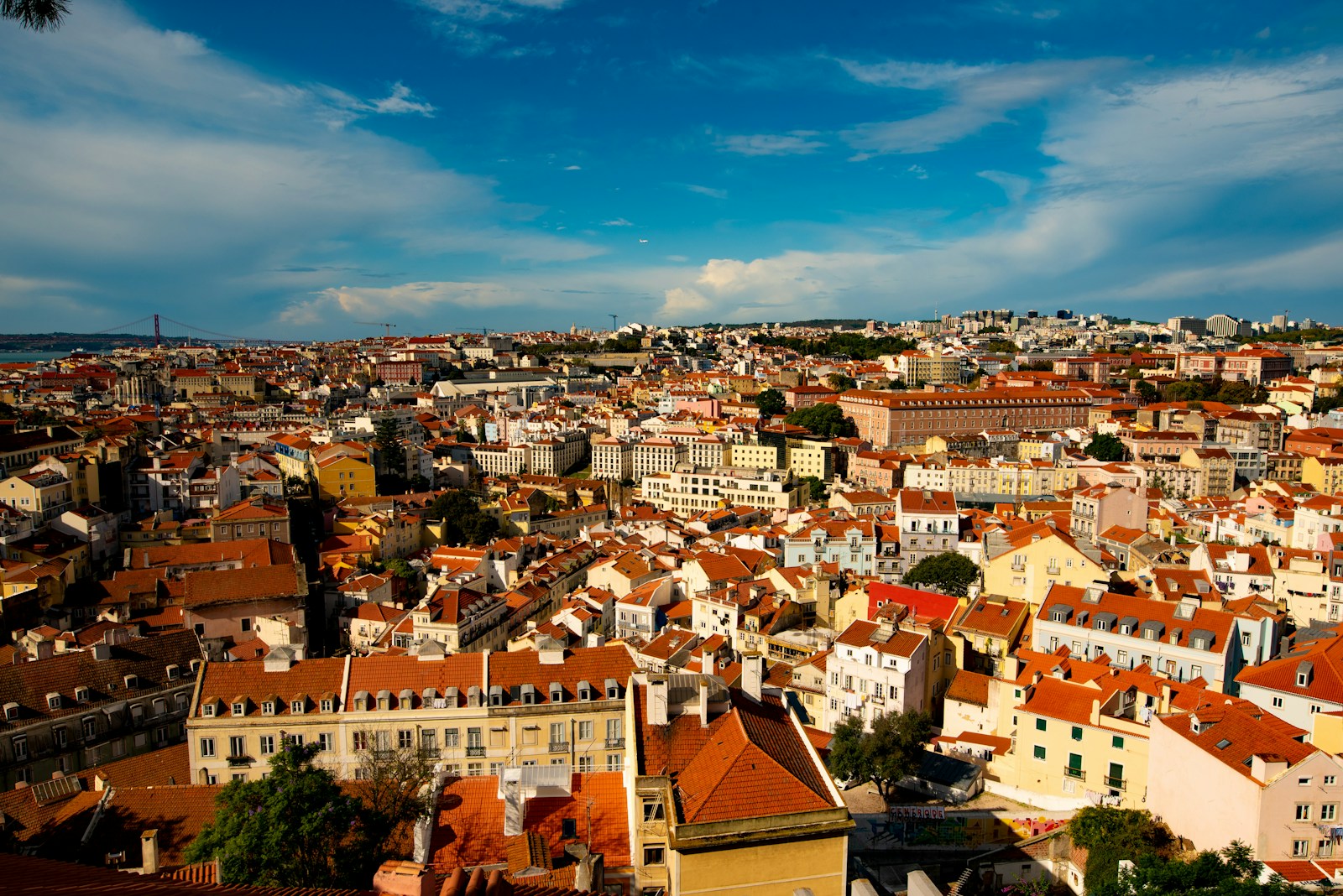 Miradouro over Alfama's rooftops and the Tagus, Lisbon