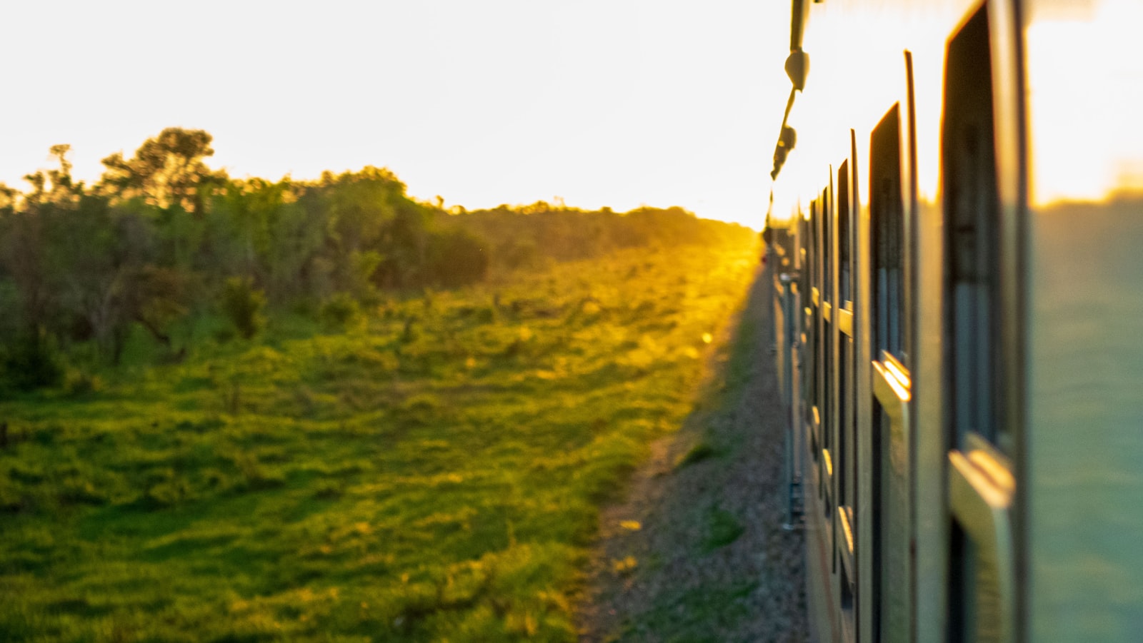 View from the Tazara train through green savanna at golden hour