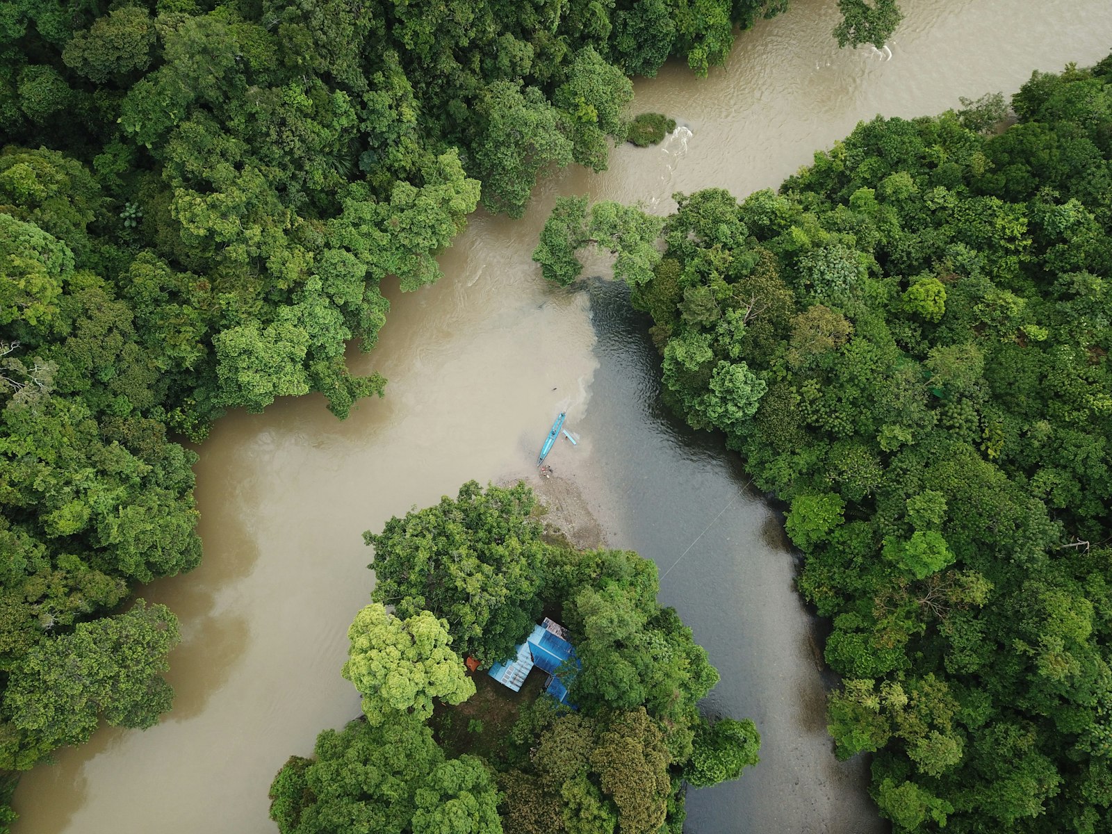 Aerial view of a muddy river winding through dense Bornean rainforest