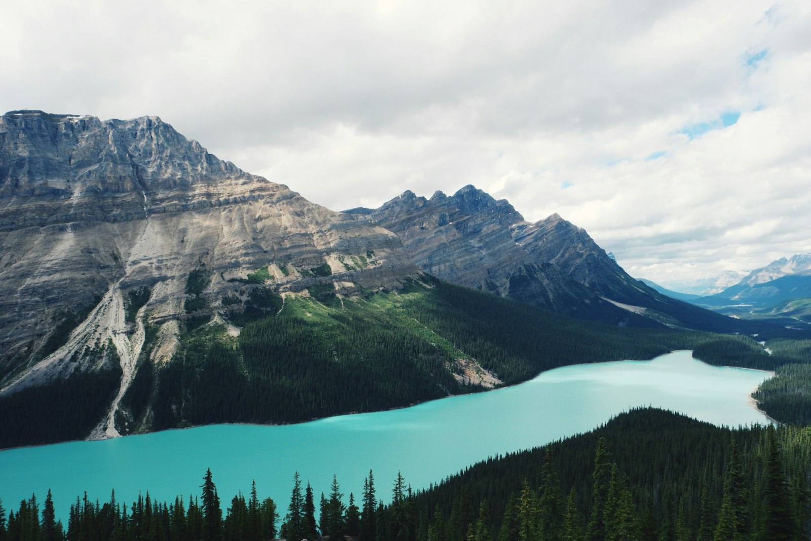 Turquoise waters of Peyto Lake framed by mountains and forest