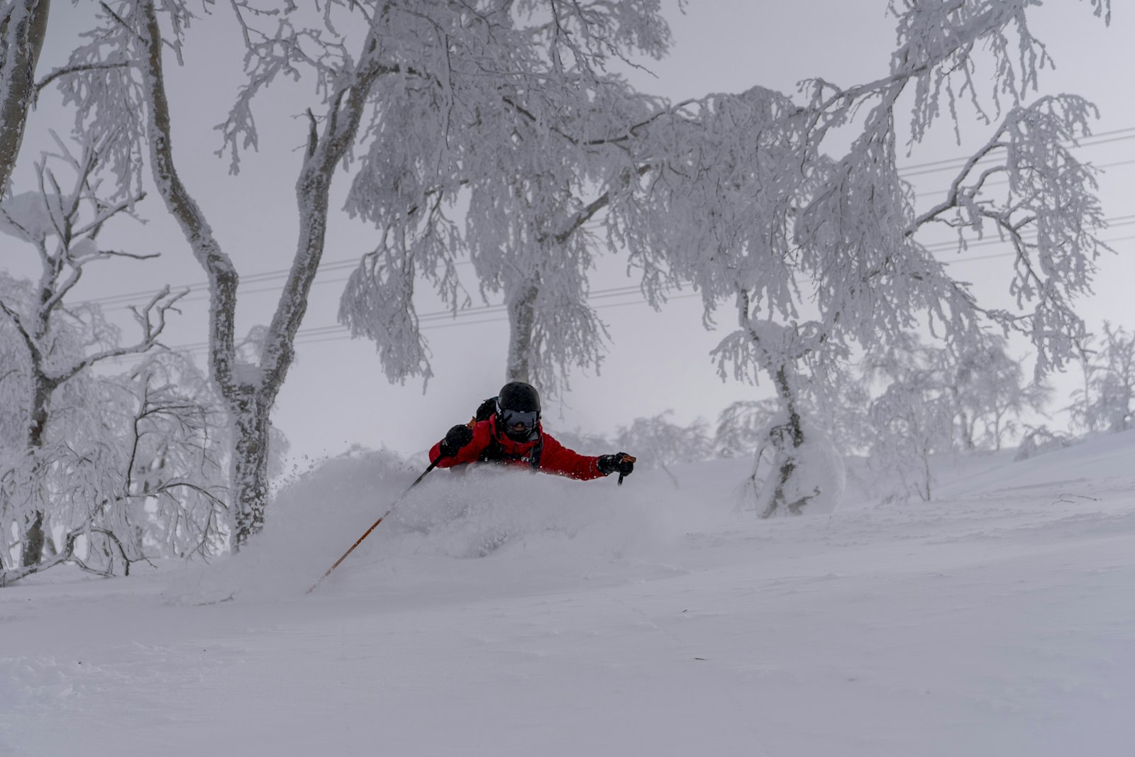 Skier in deep powder among rime-ice trees