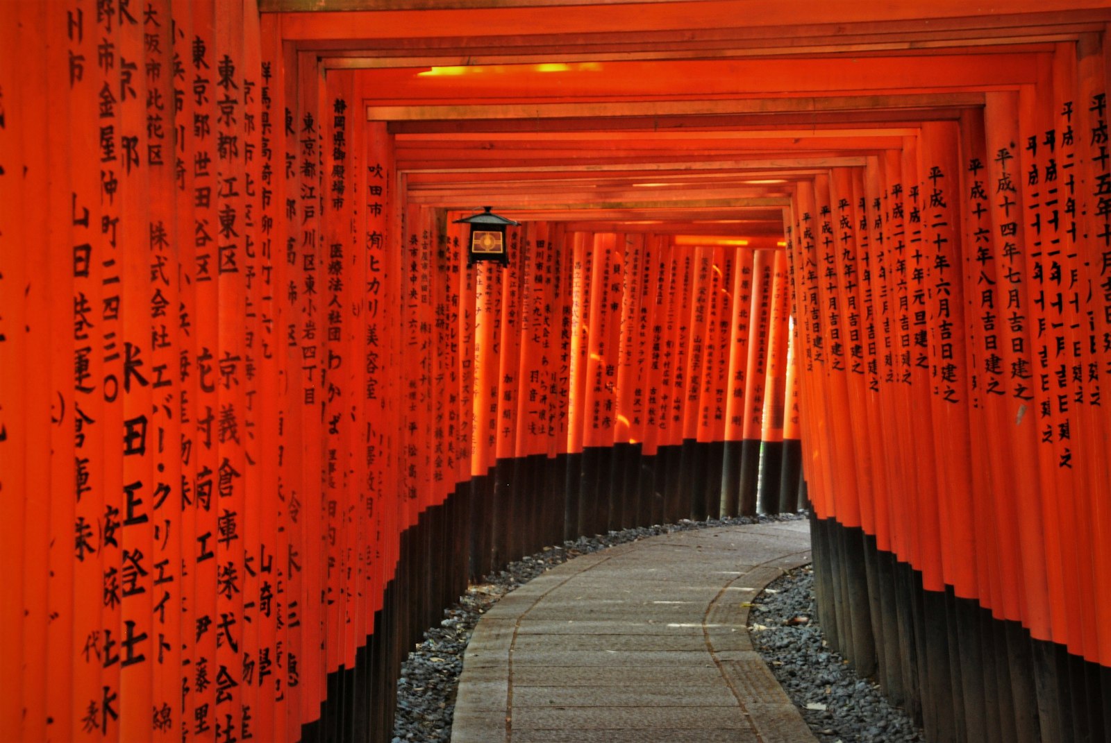Vermillion torii tunnel at Fushimi Inari Shrine