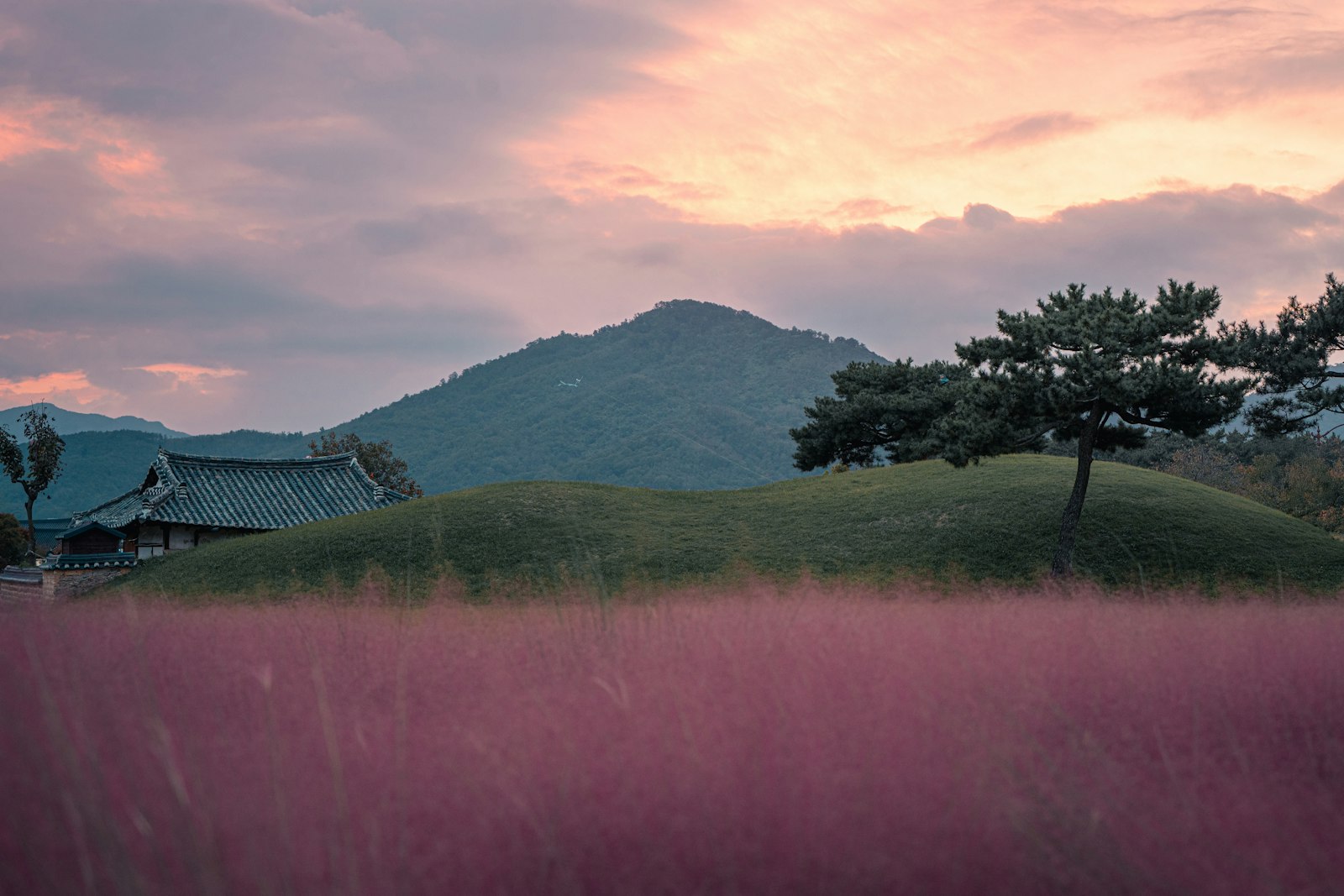 Grass-covered royal burial mounds in Gyeongju at dusk