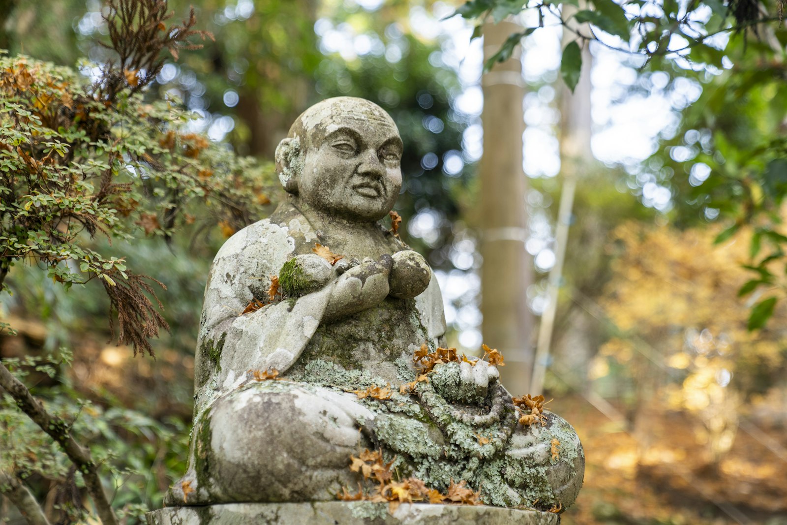 Weathered stone pilgrim statue among autumn leaves