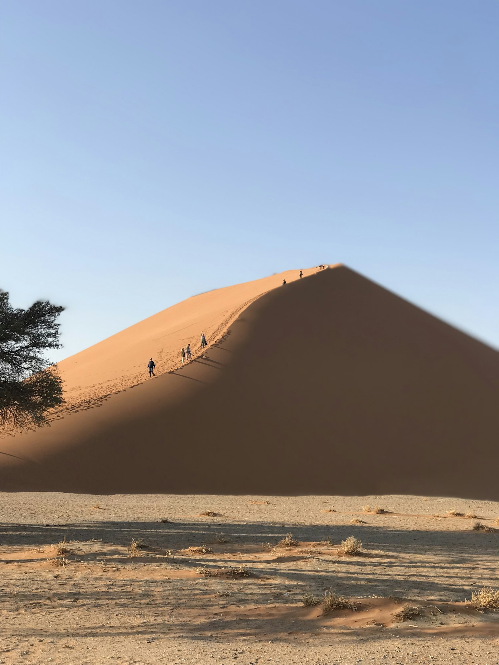 Hikers climbing the ridge of a towering Namib dune